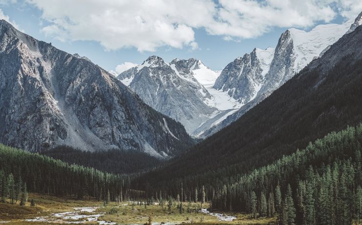 马耳他移民中介公司